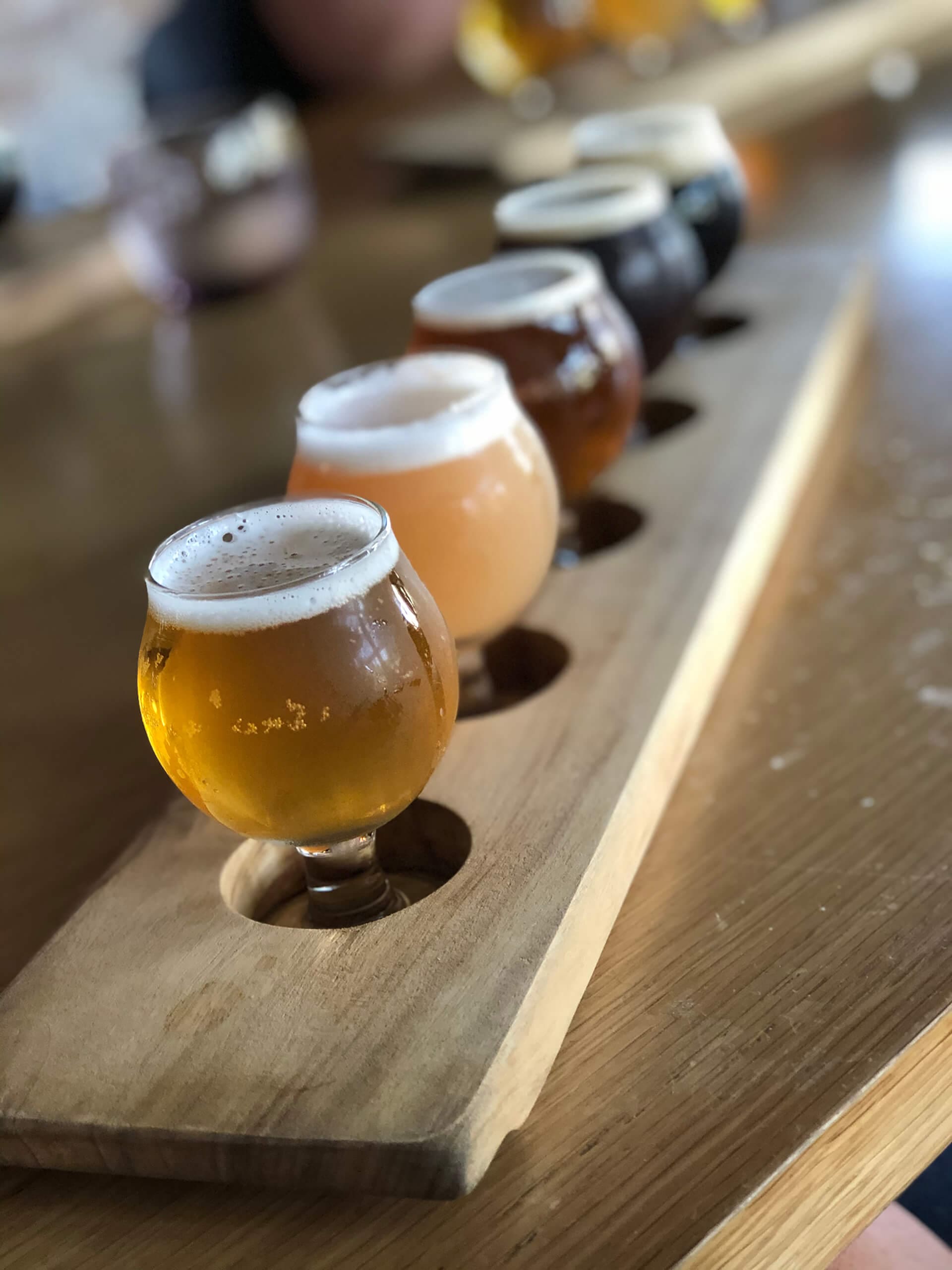 Craft Beer Brewery Tours Sunshine Coast Craft Beer Tours